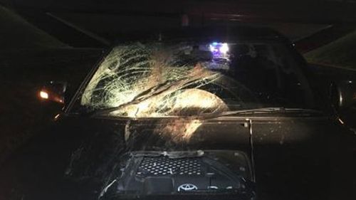 The bin shattered the drivers windscreen but left him unharmed. (Victoria Police)