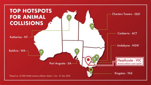 AAMI's claims data revealed the top animal collision hotspots nationwide