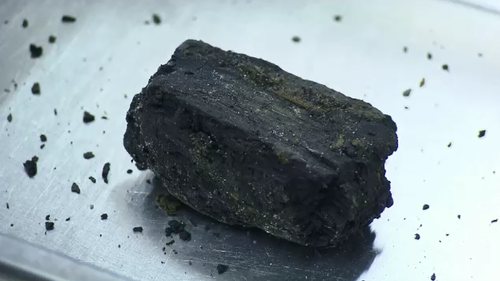 This piece of charcoal was preserved in sticky clay for 30,000 years. (9NEWS)