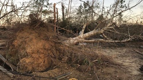 Alabama tornadoes US weather news Death toll 23