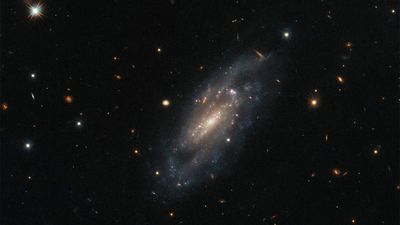 Spiral galaxy UGC 11860