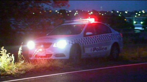 Police said the driver allegedly swerved to a avoid a kangaroo. (9NEWS)