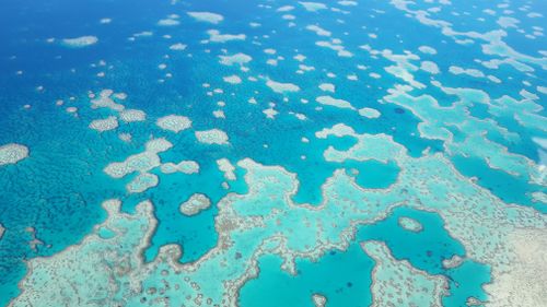 The Great Barrier Reef as viewed from above last year. (AAP)