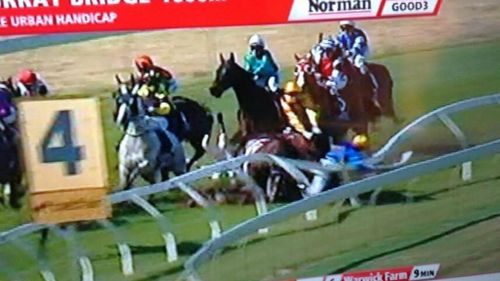 Horses tumble in the crash at Murray Bridge today. (Supplied)