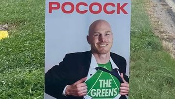 The ads were criticised for deliberately confusing voters about David Pocock&#x27;s political affiliation.