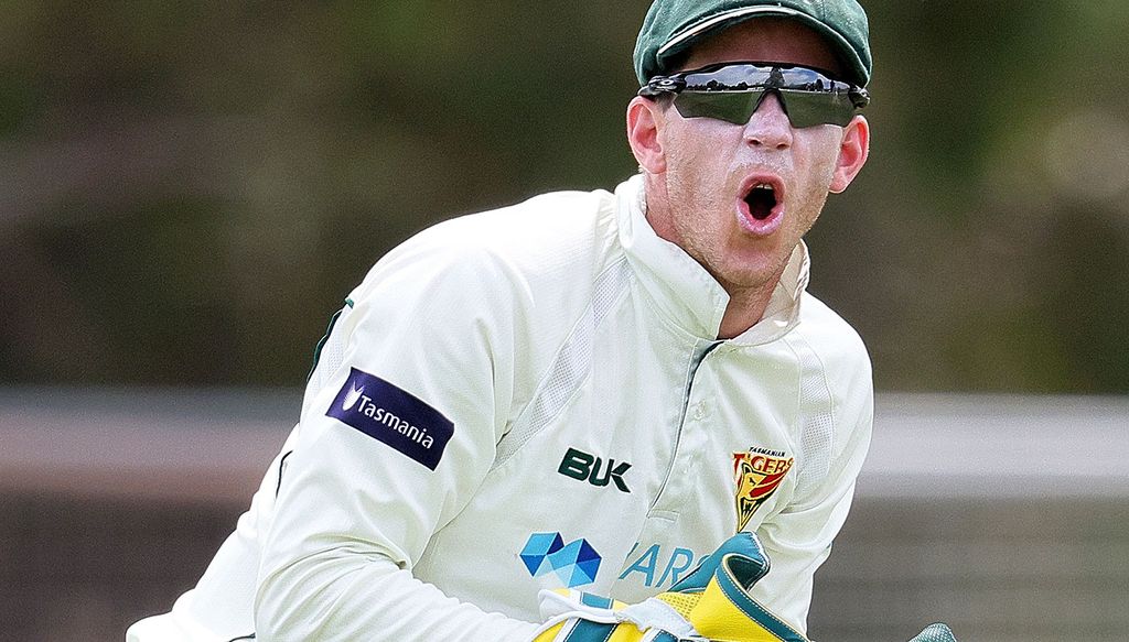 Tim Paine Bizarre Stumping Nick Larkin Sheffield Shield Nsw Vs Tasmania