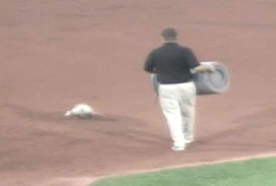 <b>America’s favourite past-time took a backseat to a sporting fanatic of a different kind when an opossum rambled onto the pitch during a Minor League Baseball game.</b><br/><br/>The creature took centre stage when it halted a Quad Cities River Bandits and Clinton Lumberjacks showdown, wandering between bases before being caught and dumped into a garbage bin.  <br/><br/>Its day got even worse as the home side, the Bandits, lost a close game 6-5.<br/><br/>Click through to see some of sport's other headline-grabbing game-crashers.<br/><br/><br/>