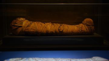 Mummy of a boy named Horus lays in a case above the interactive CT scans that will be on display at the Chau Chak Wing Museum at the University of Sydney.