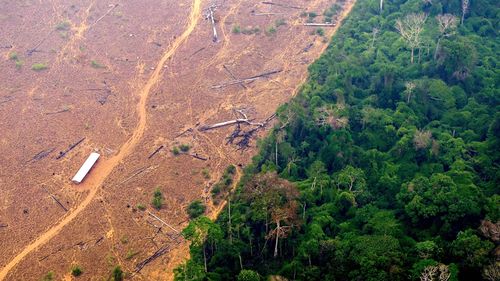 **This image is for use with this specific article only** The Amazon has survived changes in the climate for 65 million years. Now it's heading for collapse, a study says
