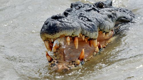 Man loses several fingers in Mandorah croc attack while fishing after sunset
