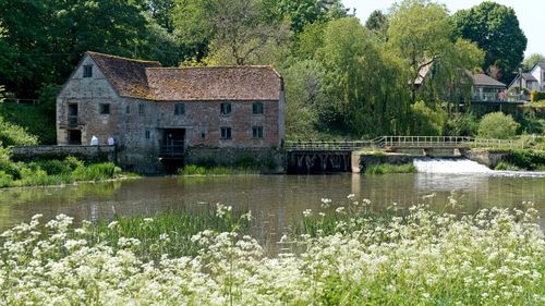 Ancient mill turned museum grinds back to life to help ease flour shortage