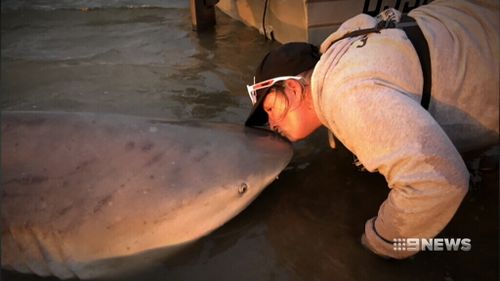 Loganlea mum Renee Gardner kisses a 2.8 metre female bull shark.