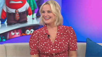Amy Poehler Today Show May 29, 2024