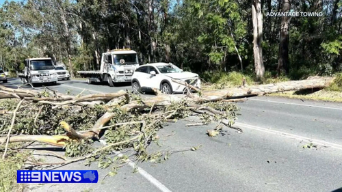 Wild weather smashes Queensland's south-east
