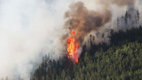 The Kenora 51 forest fire which NSW Fire and Rescue Superintendent Gregory Wright is helping with in Ontario.