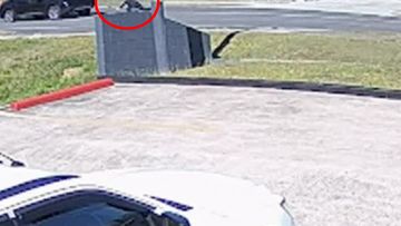 A man has been filmed jumping from an allegedly stolen car to escape police in a dangerous car chase south of Brisbane.Police alleged the man had stolen the vehicle from Kallangur, in the Moreton Bay region north of Brisbane, this morning.