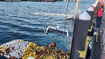Schools of salmon have unintentionally returned to their domain after a trawler carrying 50 tonnes worth sank on the NSW south coast this morning.