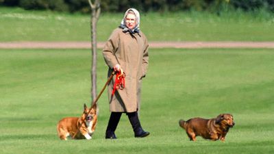 The Queen&rsquo;s last remaining corgi dies from cancer-related illness