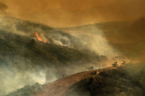 The fire has destroyed more than 1000 hectares of land. Image: AAP