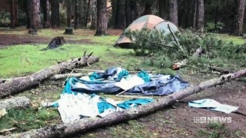 A tree fell down on the tent during strong winds and heavy rain.