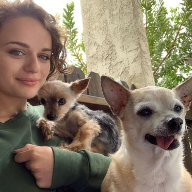 Joey King and her dogs