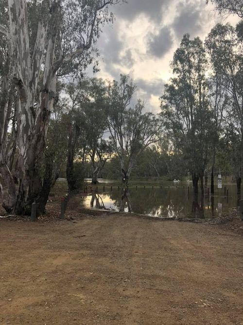 Recent deliveries of water along the Murray River has resulted in flooding in the national park.