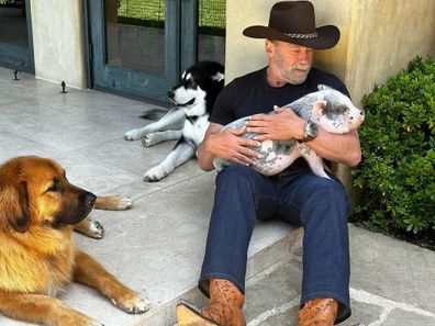 Arnold Schwarzenegger with his pet pig and dogs.