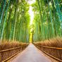 Six secret spots not to miss in Kyoto