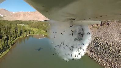 Fishing on a higher plane