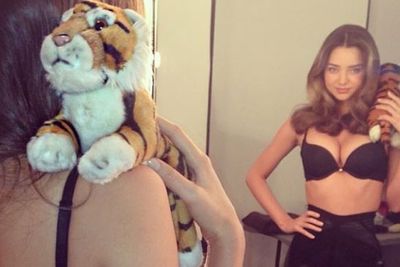 Show of hands... how many men wish they were the stuffed tiger sitting on Miranda's shoulder? <br><br>Anyone?