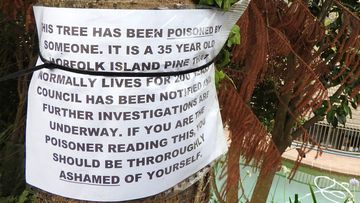 Andy posted this notice to his 30-year-old Norfolk pine after he found out someone had poisoned it.