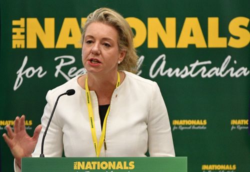 Senator Bridget McKenzie, the deputy leader of the National Party, says tax relief is crucial for export industries like agriculture and mining