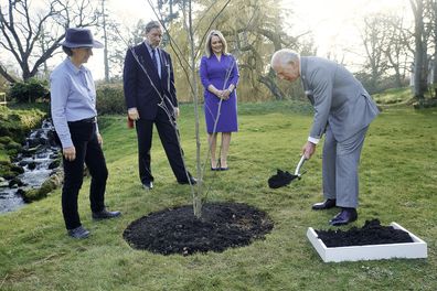 Prince Charles, Prince of Wales plants a tree in the Gardens of Hillsborough Castle for the Queens Green Canopy, part of the Jubilee celebrations on March 22, 2022 in Hillsborough, Northern Ireland.