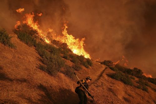 A firefighter battles the Palisades Fire in Mandeville Canyon on Saturday, Jan. 11, 2025, in Los Angeles. (AP Photo/Jae C. Hong)