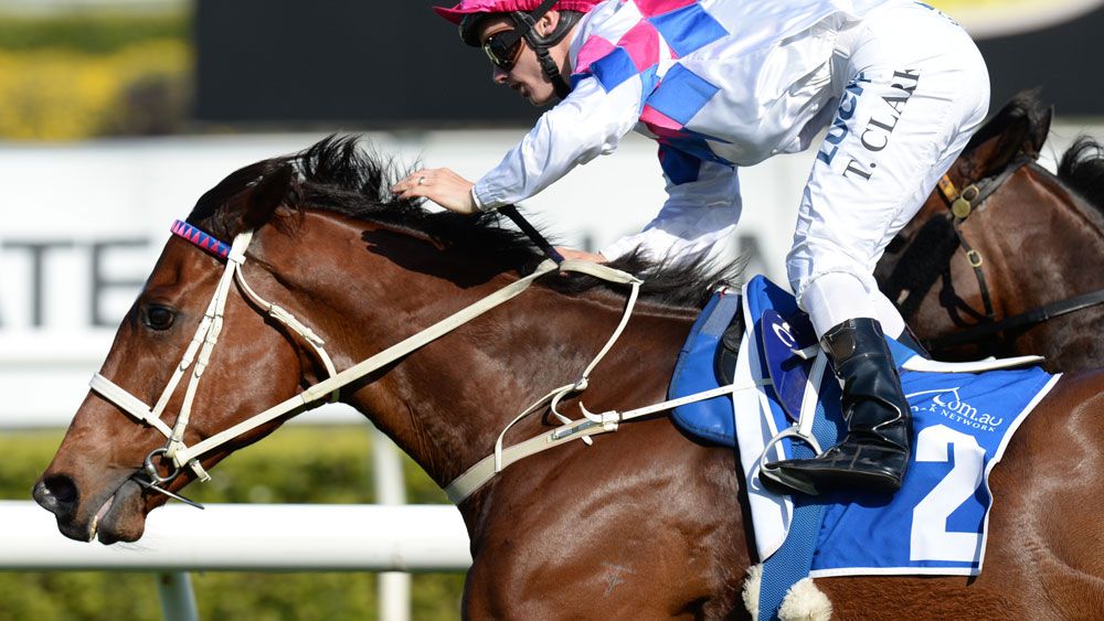 Famous Seamus will return to Sandown for a Group Three race on Saturday. (AAP)