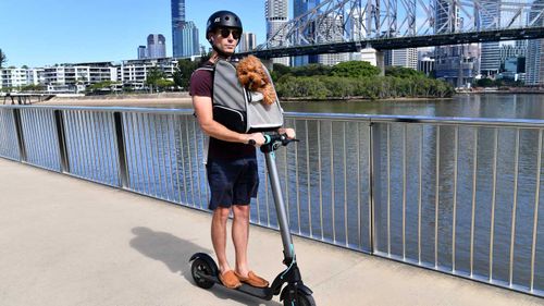 Michael Snowden and his pet cavoodle Snooks are seen riding his electric scooter along side the Brisbane River in Brisbane.