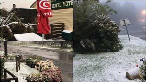  Snow arrives at The Otways in Victoria 