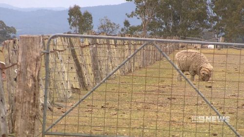 Farmers say the conditions are as dry as they can remember.