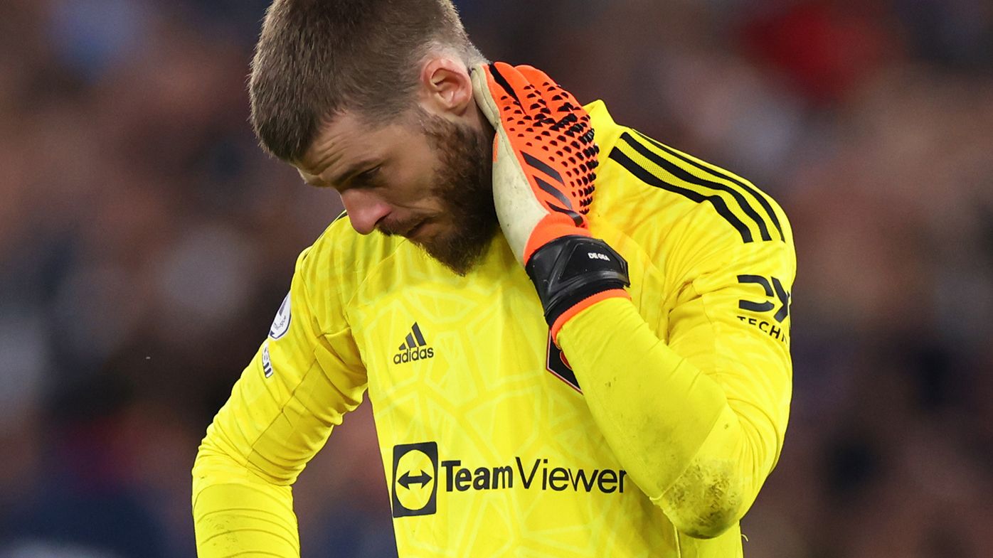 David de Gea of Manchester United after conceding an &quot;absolute howler&quot; against West Ham.