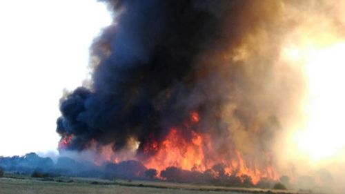 NSW swelters as bushfires blaze across South, Western Australia
