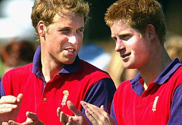 Where did William and Harry establish their own royal household in 2009?