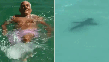 Swimmer says pink board shorts helped save him from shark