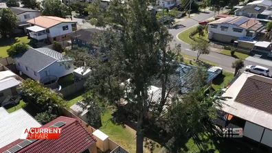 A group of neighbours have a problem tree that borders all their backyards.