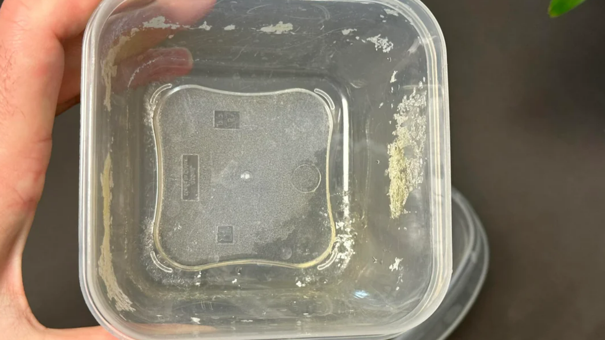 What is this white stuff that shows up on my plastic Tupperware and how do  I remove it? : r/CleaningTips