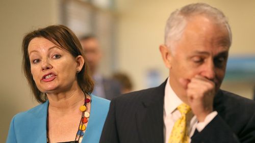 Sussan Ley stands aside as light is shone on Turnbull's embattled Health Minister