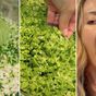 The 'green goddess' salad that's taken over TikTok