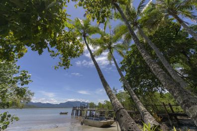 Bloomfield Lodge eco resort for sale Daintree Rainforest Cape Tribulation