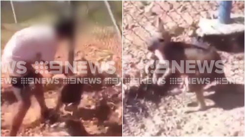 Police are now investigating the brutal incident. (9NEWS)