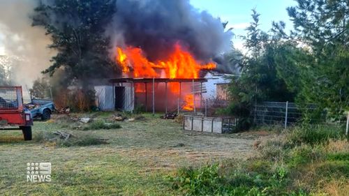 'We need more help out here': Woman whose house burned down after mice chewed through wires didn't have insurance