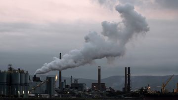 Smoke pours from the steelworks and coal loading facility in Port Kembla, NSW.